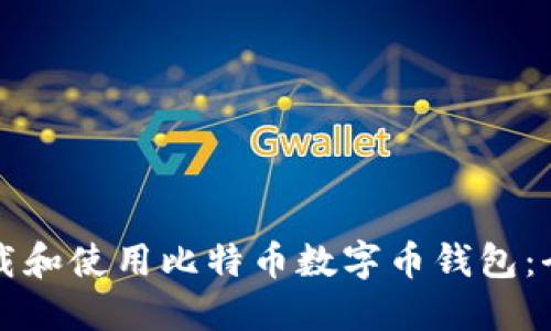 如何下载和使用比特币数字币钱包：全面指南