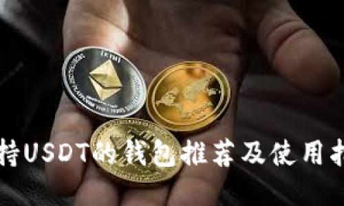 支持USDT的钱包推荐及使用指南